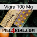 Vigra 100 Mg new06